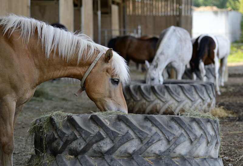 Revive Your Living Environment with Hoarder Clean Up and Clutter Removal